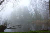 Löschteich im Nebel